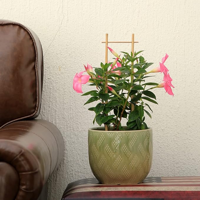 COLOtime 3Pack Bamboo Trellis 16 Inch Ladder Shaped Small Plant Trellis for Indoor Potted Plants Climbing Monstera Orchid Vine Hoya Houseplant