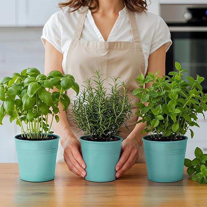 Plexon Herb Planter Indoor Garden Set of 3 with Tray, Metal Herb Pots for Indoor Plants, Round Kitchen Garden Kit Ideal for Windowsill Planter or Countertop, Aqua Mist Blue Powder Coated