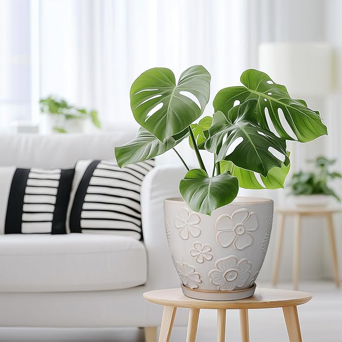 MPotTo Ceramic Planter 8 Inch Plant Pot with Drainage Hole and Saucer Ceramic Pots for Indoor Plants Outdoor Large Flower Pot for Home Decor White