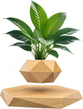 Levitating Plant Pot, Floating Plant Pot Small Floating Flower Pot, 360° Rotating Floating Pots for Plants, Floating Planter for Levitating Decor, Levitating Display Home Office Desk Decor (Yellow)