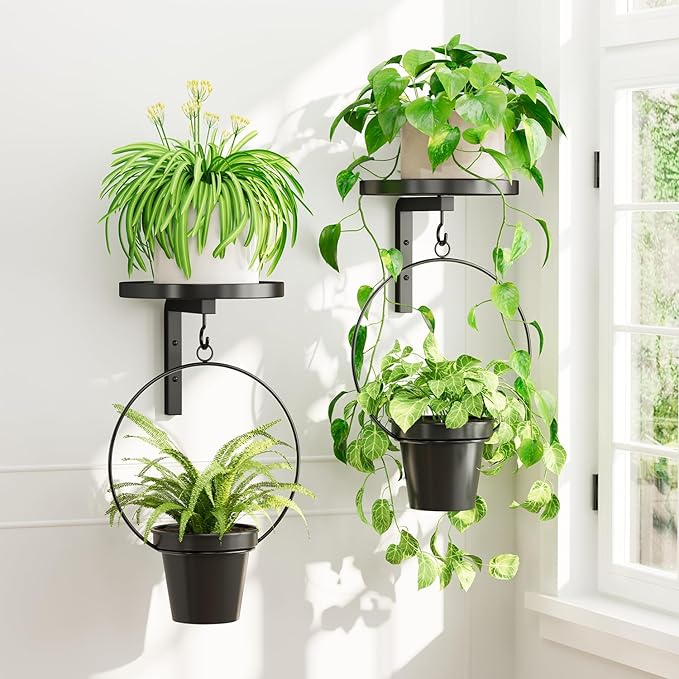 iDavosic.ly Wall Plant Holder Set of 2 for Outdoor with 2 Hanging Planters, Metal Hanger with 2 Hooks, Floating Flower Display Stand for Window, Space Saving & Easy to Assemble