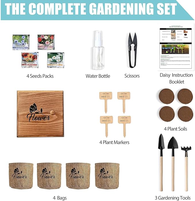 Indoor Daisy Garden Starter Kit, 4 Flower Seeds Growing into Shasta Daisy, Cornflower, Sunflower, Zinnia, Including Complete Gardening Tools for Women Men & Beginners