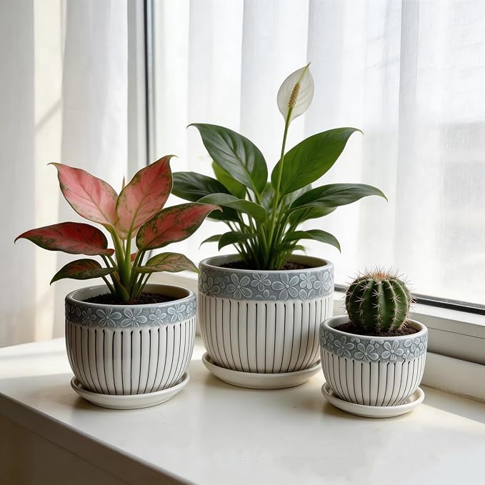 Vintage Flower Pots for Indoor Plant, Round Ceramic Plant Pots with Drainage Holes and Saucers, 6.7/5.2/3.9 Inches Retro Flower Planters Set of 3