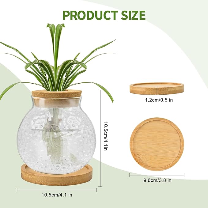 Plant Propagation Station, Water Planting for Plants with Tray & Wooden Saucer, Hydroponics Plants Jars Home Office Desktop Decor, Glass Planters for Indoor Hydroponic Decor
