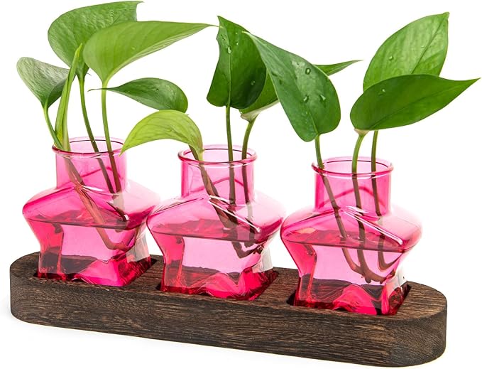 XXXFLOWER Plant Propagation Station with Wooden Stand，Air Plant Terrarium Starter Kits Star Vases for Flowers Plant Cutting Rooting Pots Indoor Hydroponic Glass Planter for Plant Lovers,3 Jars(Pink)