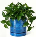 HASENSE Ceramic Plant Pots Indoor Outdoor, 6 Inch Round Pot for Plants with Drainage Hole and Saucer, Reactive Glaze Blue Planter for Herb Snake, Ideal for Mom Gift