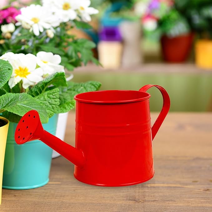 1.6L Watering Can for Indoor Outdoor Plants, Modern Small Watering Cans, Metal Flower Watering Can, Long Spout Watering Can-Colorful Plant Waterer for Indoor Bonsai Plants Garden Flowers (Red)