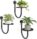 Wall Plant Holders for Indoor Plants, 3 Pack Metal Wall Mounted Plant Shelves，Modern Window Plant Hanger, Space Saving Hanging Planters for Living Room Bedroom Kitchen Bathroom Office Decor, Black