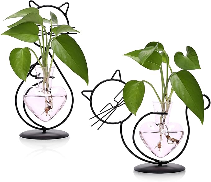 Plant Terrarium Plants Propagation Station Cat Lover Gifts for Women Home Office Decor Cat Desk Accessories