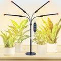 4Head Tabletop Grow Lights for Indoor Plants, Seed Starting, Bonsai, 4/8/12/16/20H Timer, 36 Watt Power Draw, NO Need Adapter, Bright and Big Coverage, Best Gift for Plants Lover