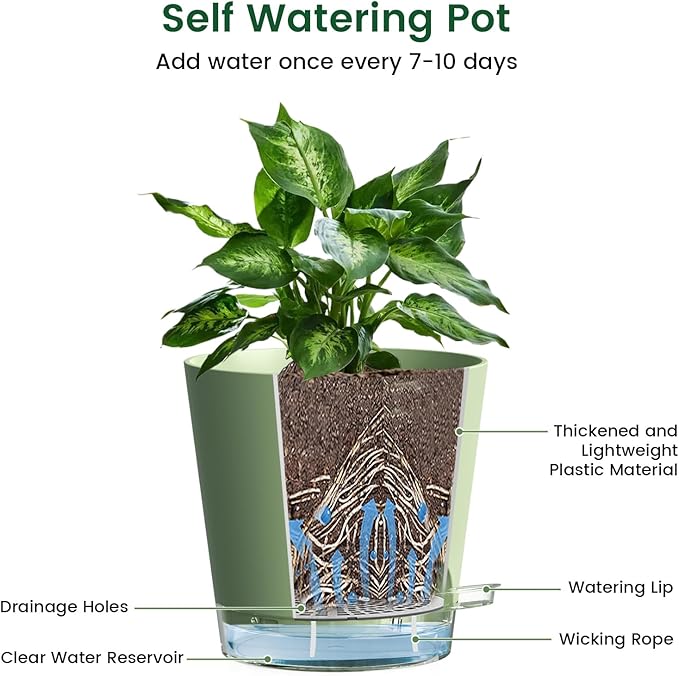 Meowell 6 inch Self Watering Pots for Indoor Outdoor Plants, 3 Pack Flower Plant Pots with Drainage Holes and Clear Reservoirs, Visible Water Level, Plastic Planters with Wicking Rope, Green