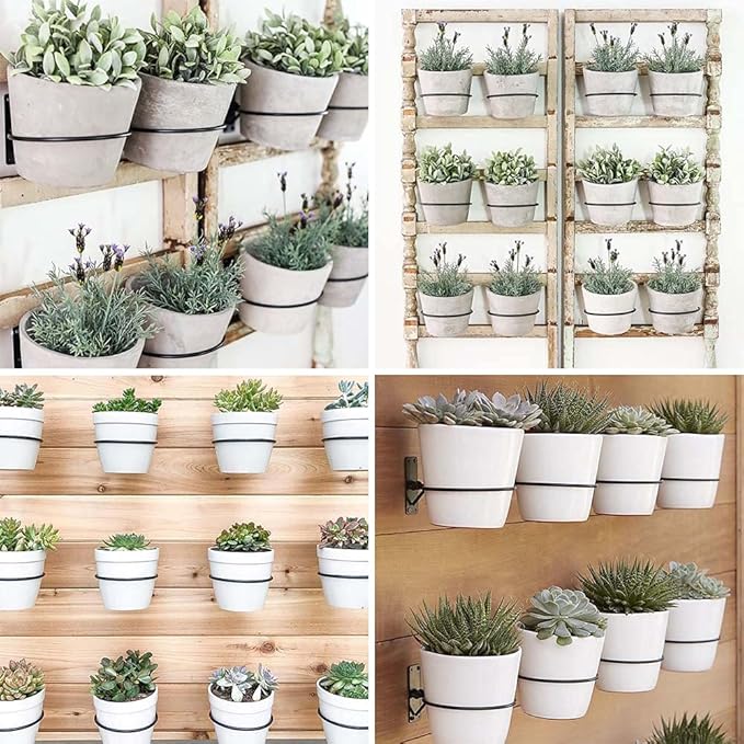Sivya 6 Pack 4in Flower Pot Holder Ring Wall Mounted Metal Planter Hooks Hangers Wall Bracket