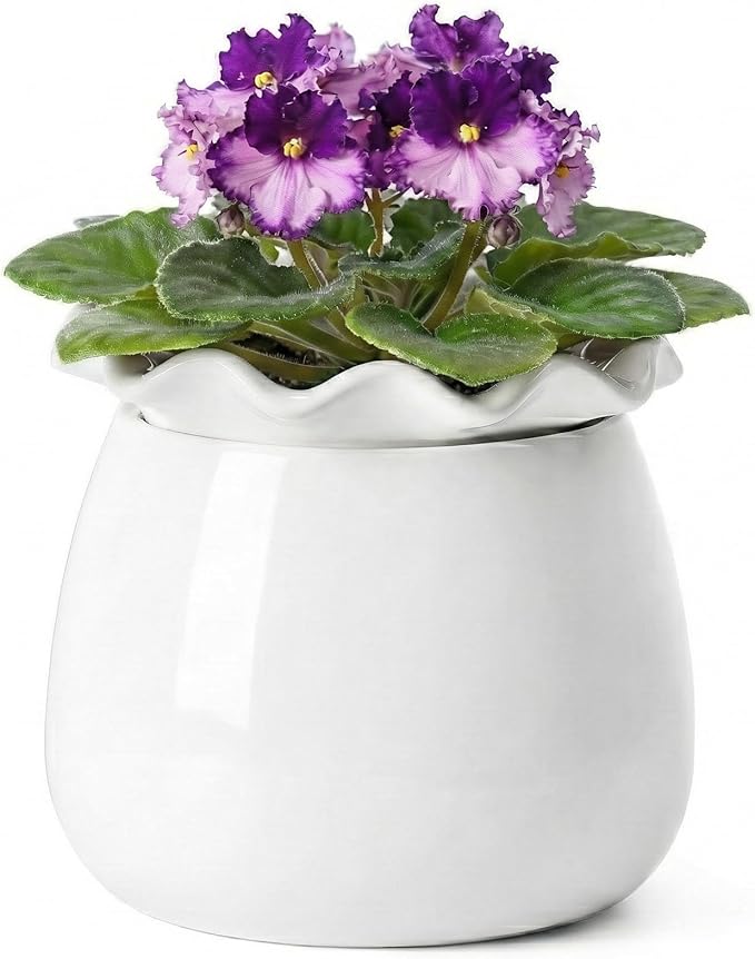 Fayoula Self Watering Plant Pot, 6 Inch African Violet Pots Maintenance, Ceramic Self-Watering Planter for Indoor Plants - Ideal Flower Pot for Thriving Indoor Gardens, White