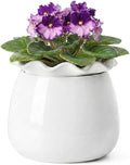 Fayoula Self Watering Plant Pot, 6 Inch African Violet Pots Maintenance, Ceramic Self-Watering Planter for Indoor Plants - Ideal Flower Pot for Thriving Indoor Gardens, White