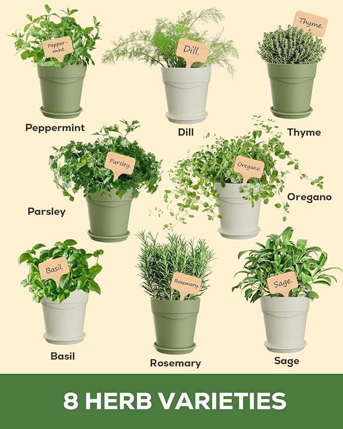 Indoor Herb Garden Kit with 8 Heirloom Seeds - Complete Windowsill Planter Starter Set, Unique Gardening Gift for Women Men, DIY Kitchen Herb Garden for Beginners, Plant Lovers, Mom, Friends