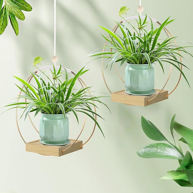 hismocal Hanging Planter for Indoor Plants, Plant Hanger with Sturdy Wood Base,Modern Boho Macrame Plant Hanger,Wall Ceiling Window Stands(Plants/Pots Not Included)