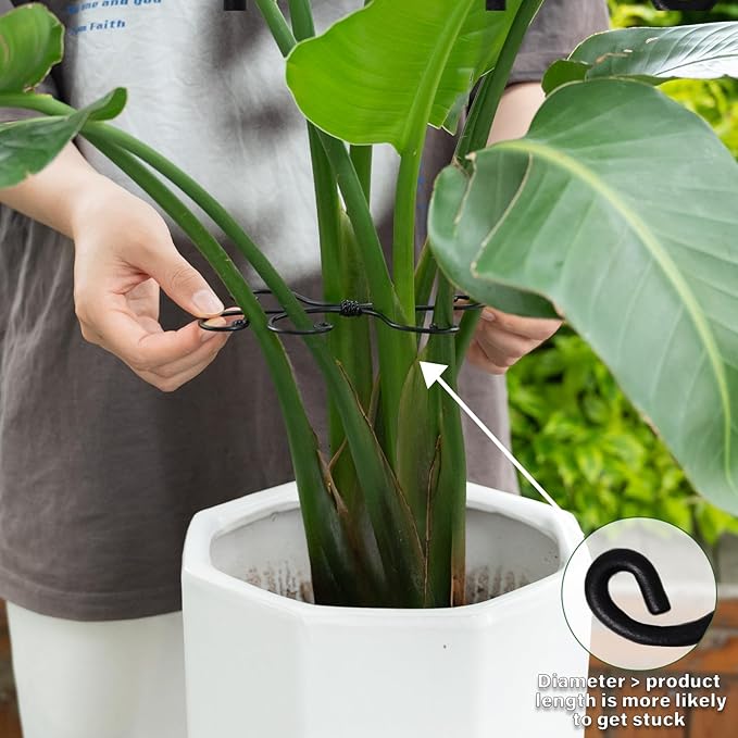 Yohsnor Black Monstera Plant Support Hook - 6.5 * 6.5IN -5 Piece Set, Durable Metal Stem Supports for Indoor Plants, Leaf Holder & Fishbone Cactus Stake, Stylish Design for Healthy Growth & Easy Care
