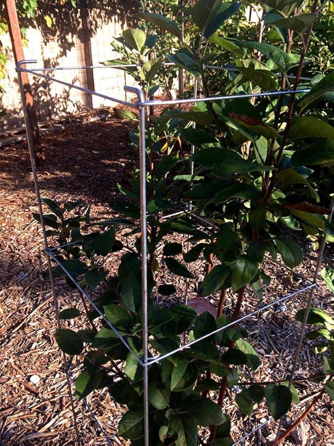 46" Height 12" Width 2PCS Galvanized Square Folding Tomato Cage,Plant Support Stake Tower