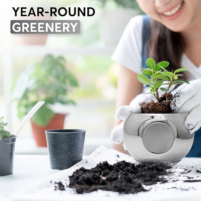 Magnetic Plant Pot - Unique Window Planter for Herbs, Succulents, Indoor & Outdoor Greenery - Self-Adhesive Magnet Attachment, Drainage Holes, Detachable Reservoir - Silver