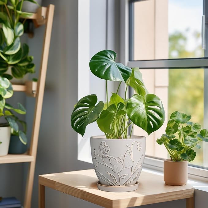 MPotTo 6 Inch Ceramic Plant Pot for Indoor Plants Outdoor Round Planter Flower Pot with Drainage Hole and Saucer for Home Garden Office Decor White