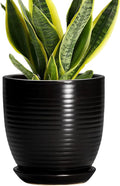 6 Inch Plant Pot - Ceramic Planters for Indoor Outdoor Plants, Modern Flower Pots with Drainage Hole and Saucer, Round Ceramic Planter, Office Room Decor, Gifts for Plant Lovers, Matte Black