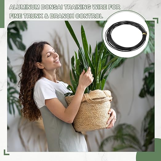 Bonsai Training Wire, 1.5mm x 16.4 ft Anodized Aluminum Floral Plant Training Wire Bendable Metal Stems Accessories for Gardening Branch Fixing Crafts (Black)