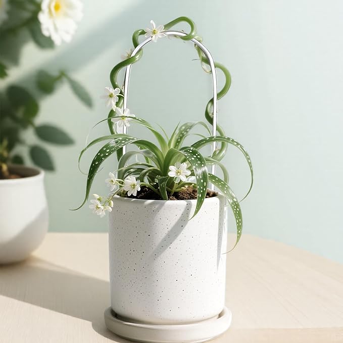 2 Pack Thickened U-Shaped Acrylic Trellis for Indoor Plants, Small Clear Plant Trellis for Potted Plants Climbing Plants Garden Accessory for Pothos Hoya Trellis Indoor Outdoor