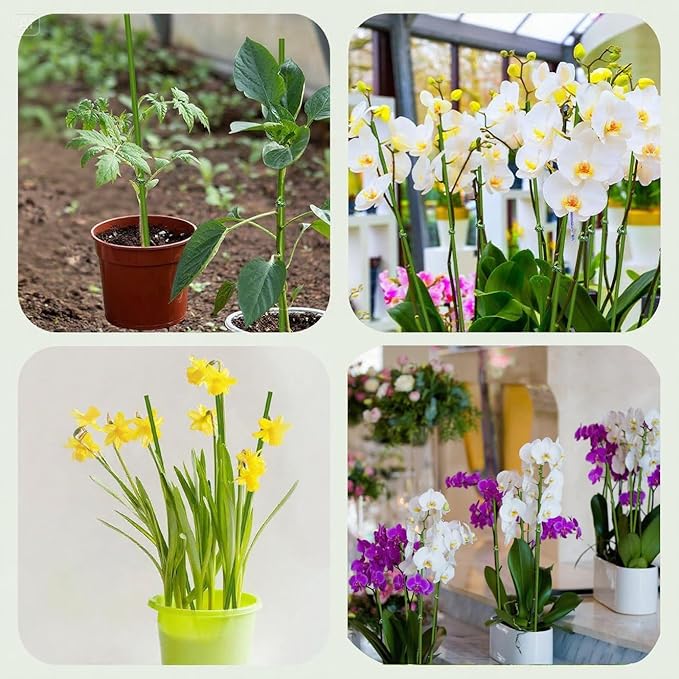 16.5 Inch Plant Stakes - 10 Pcs Bendable Orchid Stakes Green with 10 Clips & 5 Adorable Ladybug Clips for Indoor Outdoor Potted Plants, Orchids, Tomatoes, Flowers Gardening