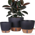 HEJIYUE Large Plant Pot, Self Watering Pots for Indoor Plants, 8/10/12 Inch Plastic Planters with Water Level Indicator, Drainage Holes & Deep Reservoir, Modern Decorative Flower Pot (Black)
