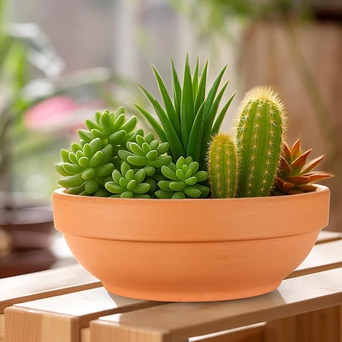 Laergin Terra Cotta Pots, 6.43 Inch Shallow Terracotta Clay Pots with Drain Hole Terra Cotta Plant Pot with Drainage Hole for Indoor/Outdoor Plants, 6 Pack