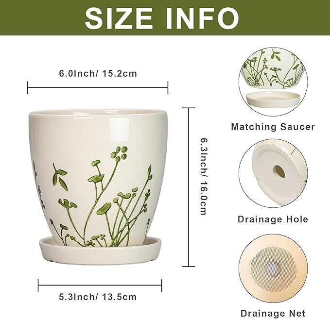 MPotTo 6 Inch Plant Pot - Ceramic Pots for Plants with Drainage Hole and Saucer, Ceramic Succulent Pots for Indoor Outdoor, Decorative Boho Planter, Housewarming Gifts, Garden Room Home Decor, White