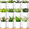 Cindeer 12 Pack Small Succulent Plants Pots 3 Inch Ceramic Flower Planter Pot and Bamboo Tray with Drainage Hole for Succulents Cactus Indoor Garden Decorations, Plant Not Included(White)
