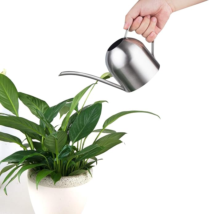 IMEEA Indoor Watering Can for House Plants 33oz/1L Brushed Stainless Steel Watering Can with Long Spout for Succulents, Bonsai