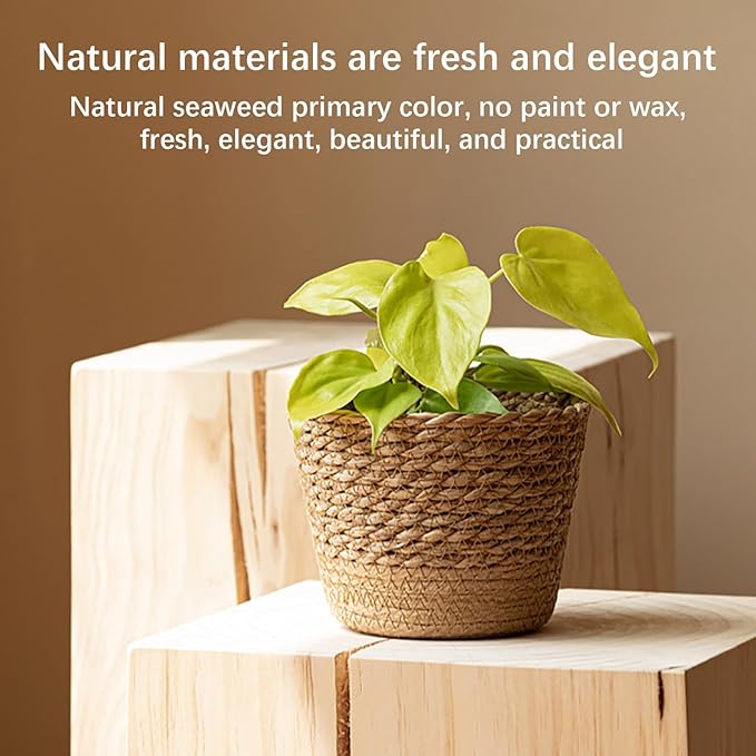 Jute Rope Plant Basket Indoor Modern Woven Flower Pot Basket Seagrass Storage Organizer Planter Rustic Decorative Plant Containers Cover Laundry Bin for Porch Living Room Entryway (6.1×6.1×4.33Inch)