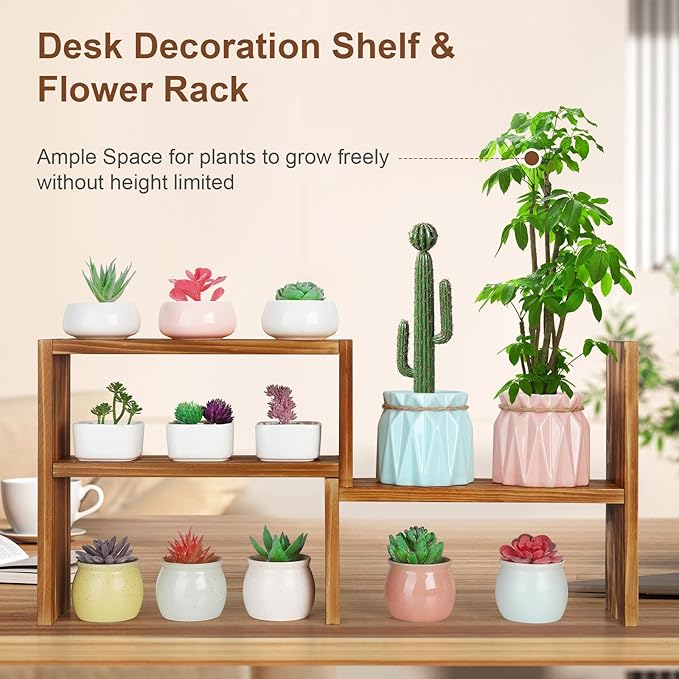 5 Tiered Small Window Plant Shelf,Wooden Desktop Plant Stand Indoor ,Table Top Plants Shelves,Window Sill Shelf for Plants Lovers,Succulent, Countertop Plant Rack Holder
