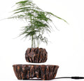 Levitating Plant Pot for Succulents, Air Bonsai & Air Plants - Magnetic Floating Planter for Home, Office & Desk Decor. Levitating Display for an Eye-catching Look