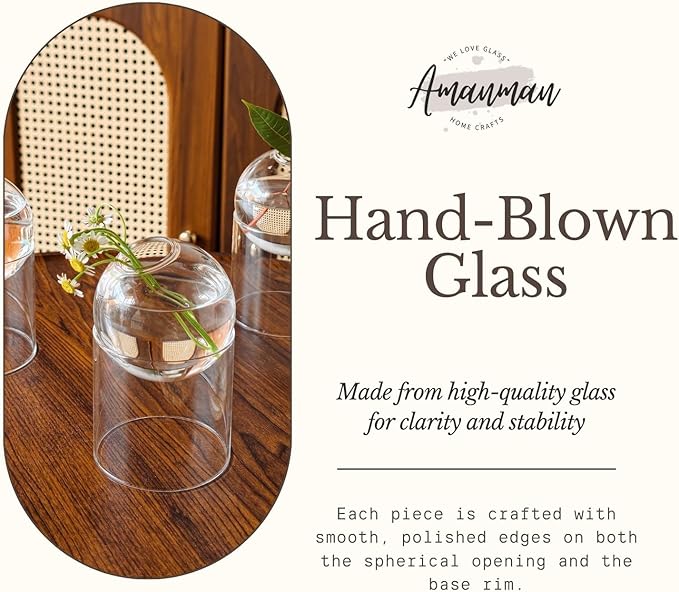 3-Pack Glass Plant Propagation Station, Planter Hydroponics Vase, Clear Glass Vase Set | Bud Vase & Mini Terrarium with Removable Base