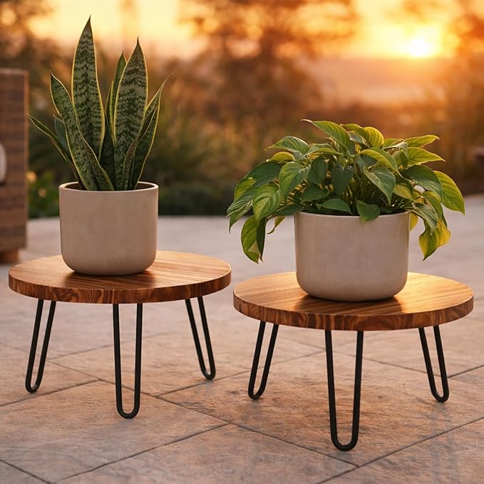 2 Pack Wood Plant Stand Small Plant Stool Indoor 10&12 Inch Plant Riser Wooden Flower Stand Plant Holders Indoor Stand 6.3" Tall Planter Stands for Plants Corner Round Plant Table Outdoor Floor Plant Stand