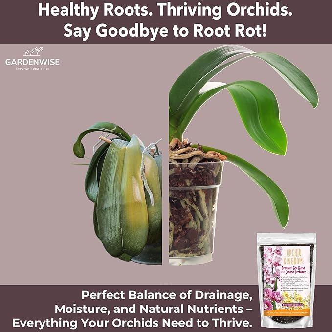 GARDENWISE Orchid Potting Mix – Orchid Bark, Sphagnum Moss, Tree Fern & Perlite for Repotting Phalaenopsis Orchids, Indoor Plants, Orchid Soil Medium – Sustrato para Orquídeas (5 Quart)