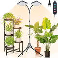 2Head Grow Light with Stand, 50 Watt Grow Lights for Indoor Plants, Natural Sunlight Full Spectrum Plant Growing Lamps for Tall Houseplants & Bonsai Tree, 4/8/12/16/20H 5-Mode Timer