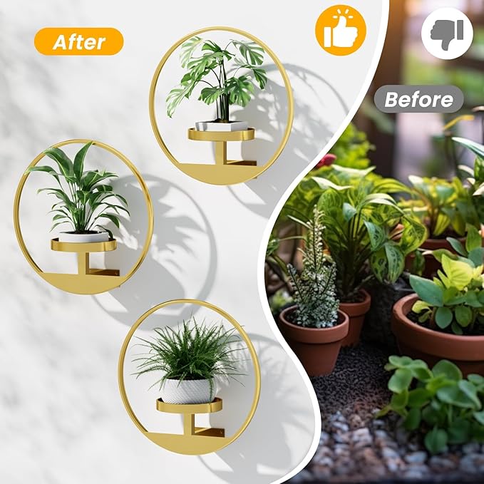 Wall Plant Shelf, Hanging Frame Decor Planter for Indoor Plants, Wall Mounted Plant Holder for Living Room/Entryway/Garden Flower Pot Holder Free Garden Shears (Circle-Gold, 2pcs)