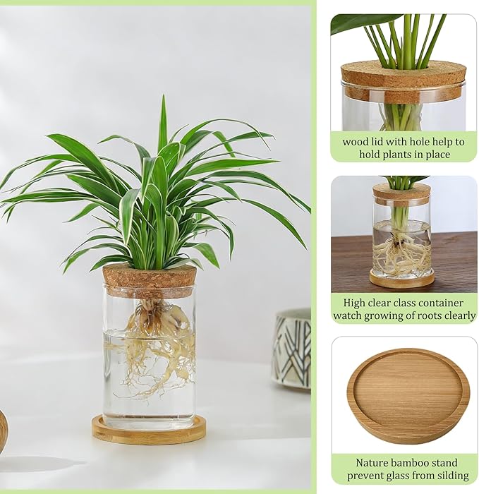 4 Set Glass Plant Propagation Station for Plants - 2 Large & 2 Small for Plant Cuttings Hydroponic Vases with Lid & Bamboo Stand Desktop Propagation Vases for Living Room, Bedroom, Office