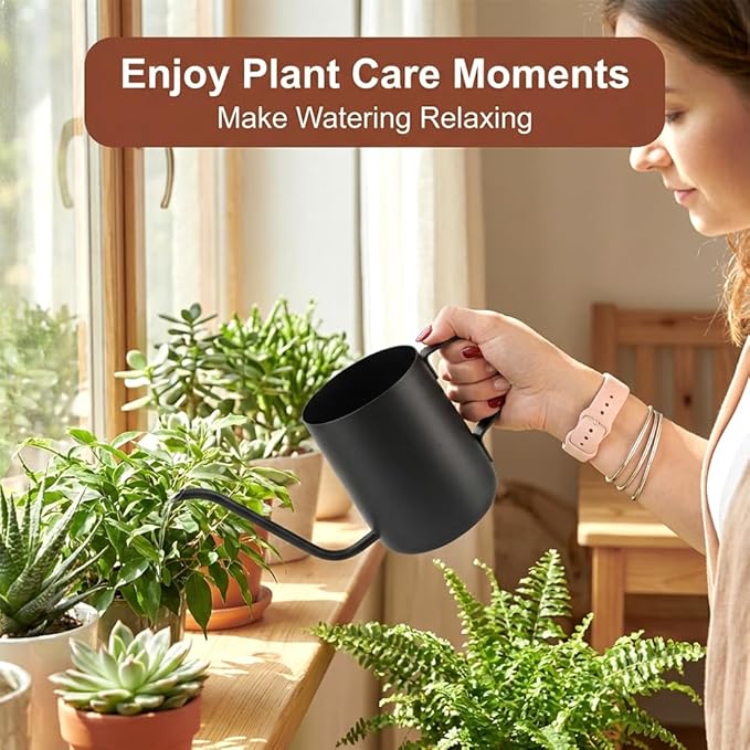 Watering Can for Indoor Plants, 12 oz / 350 ml Mini Plant Waterer, Stainless Steel Watering Can with Long Spout for House Plants, Succulents and Garden Decorative, Gentle Flow & No Spills