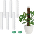 6 Pcs 24 Inch Plastic Moss Pole for Plants Monstera, Transparent White Large D Shaped Plant Support for Climbing Indoor Plants Ideal for Sphagnum Moss