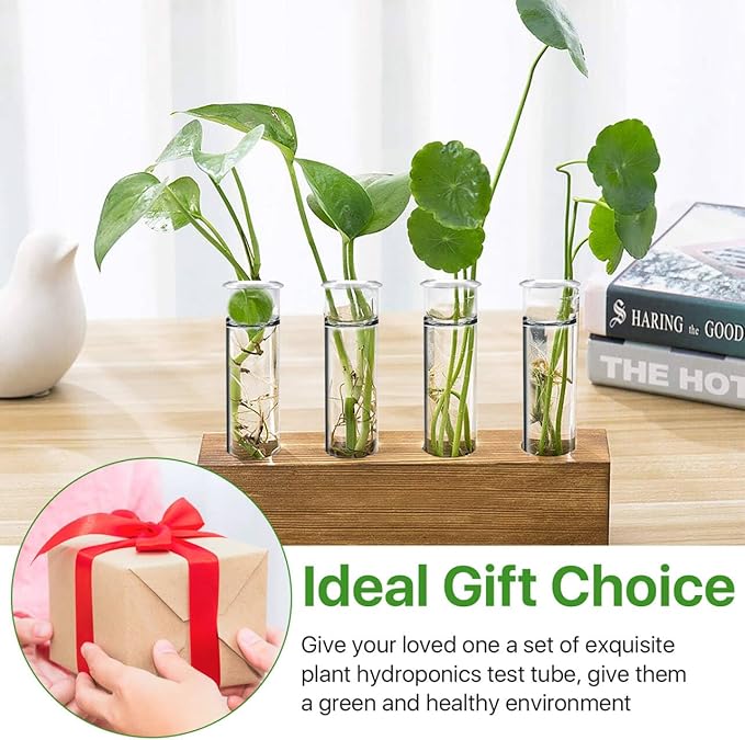 15 Pcs Clear Test Tubes for Plant Propagation Station, Acrylic Test Tubes for Scientific Experiments,20 ml Round Bottom Test Tubes for Hydroponic Flowers Home Office -0.78" Diameter