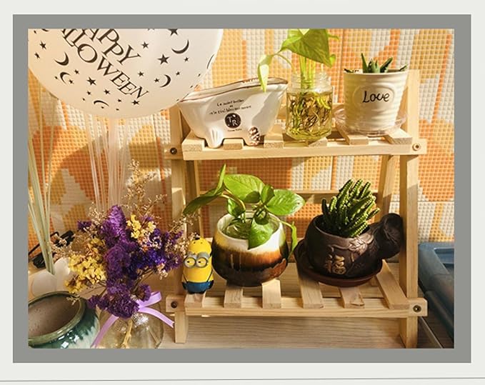 2-Tier Bamboo Plant Stand - Indoor Tabletop Succulent Plant Shelf, Rack, Flower Pot Holder