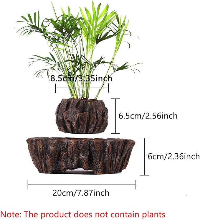 Levitating Plant Pot for Succulents, Air Bonsai & Air Plants - Magnetic Floating Planter for Home, Office & Desk Decor. Levitating Display for an Eye-catching Look
