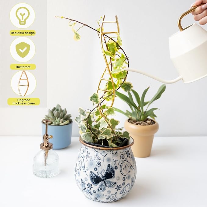 Yohsnor 3PCS DNA Plant Trellis Indoor and Outdoor - Lightweight Metal Trellis for Potted Plants, Hoya & Pothos Climbing Support, Artistic Geometric Design, Durable & Easy Installation