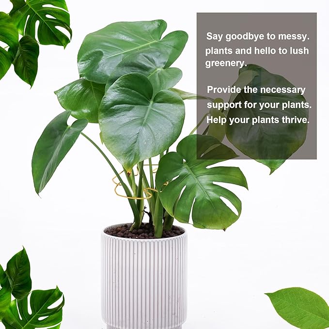 6PCS Plant Stem Support, Monstera Plant Support, Unique Designed Stable Plant Support Stakes for Plants Stabilizer, Turtle Shell Bamboo Clamp Set for Outdoor & Indoor Climbing Plants Thriving Growth