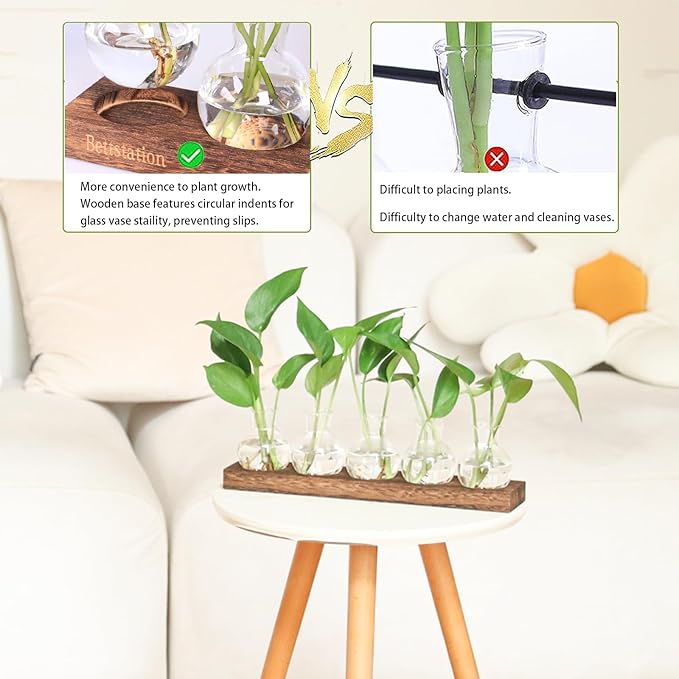Plant Propagation Station, Plants Terrarium with Wooden Stand 5 Bulb Houseplants Glass Vase for Hydroponic Plants Gift for Plant Lovers Home Office Decor